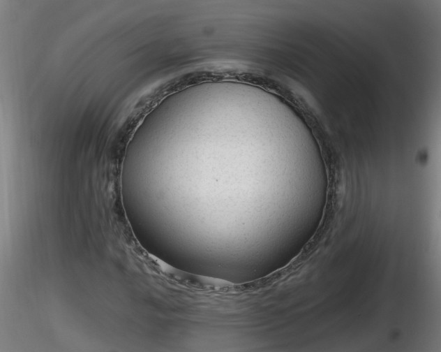 X0000116761016200912241138