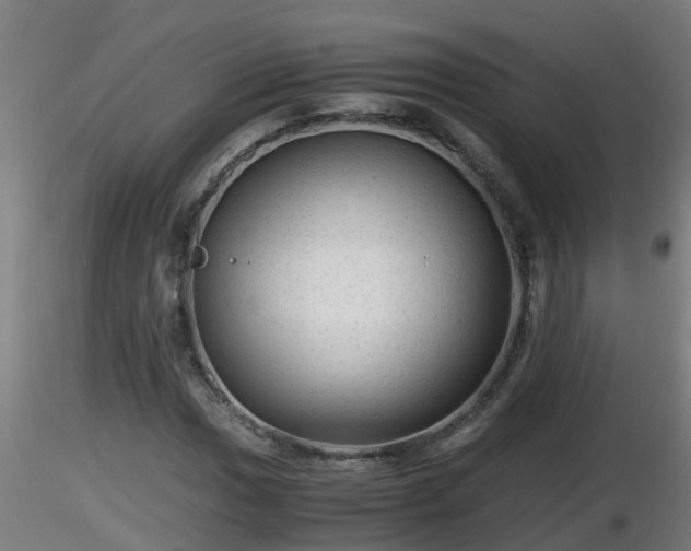 X0000116761017200912241138
