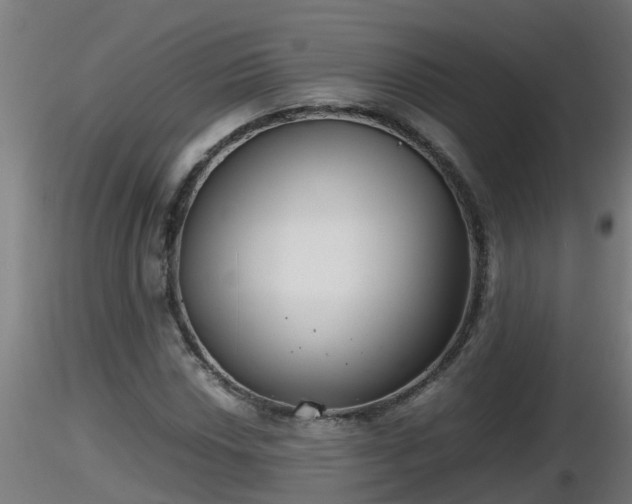 X0000116761018200912241138