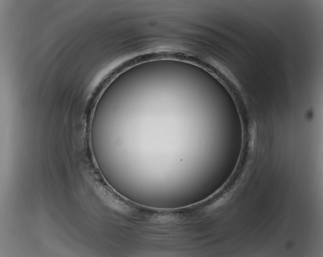 X0000116761021200912241138