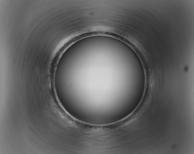 X0000116761022200912241138