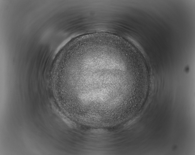 X0000116761023200912241138