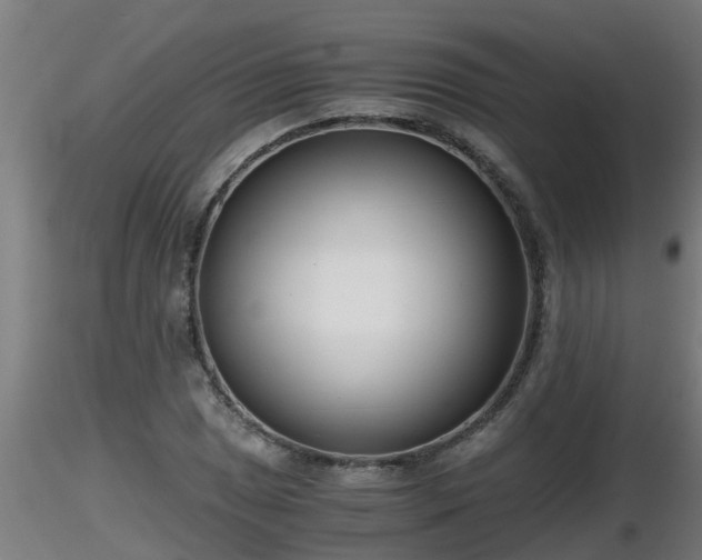 X0000116761025200912241138