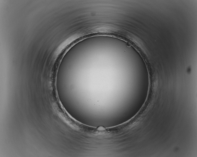 X0000116761026200912241138