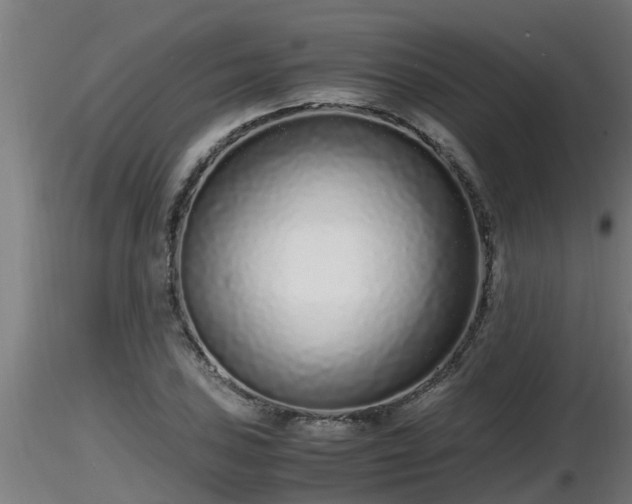 X0000116761027200912241138
