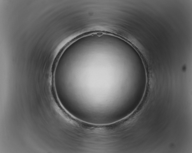 X0000116761028200912241138