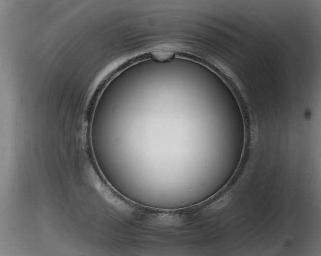 X0000116761029200912241138