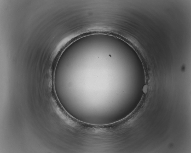 X0000116761030200912241138