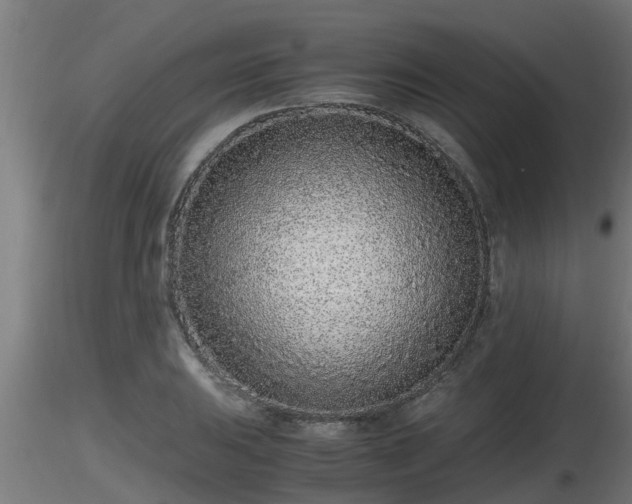 X0000116761031200912241138