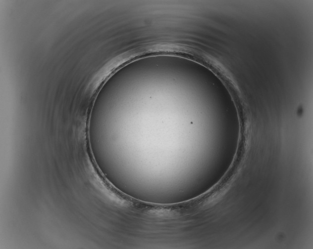 X0000116761033200912241138