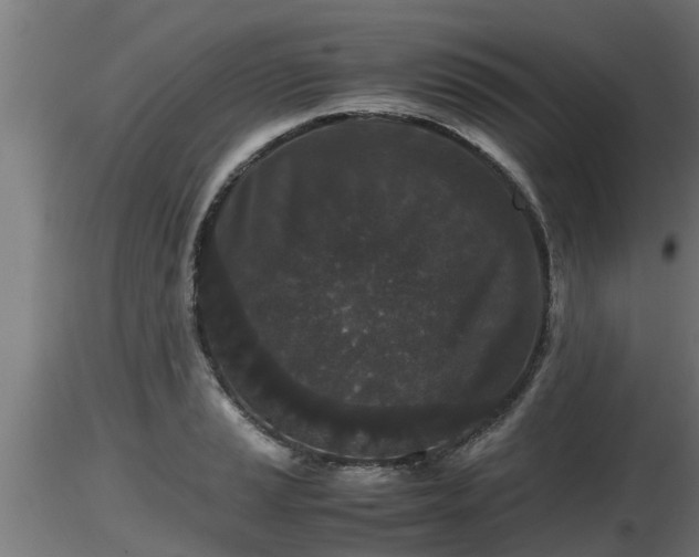 X0000116761037200912241138