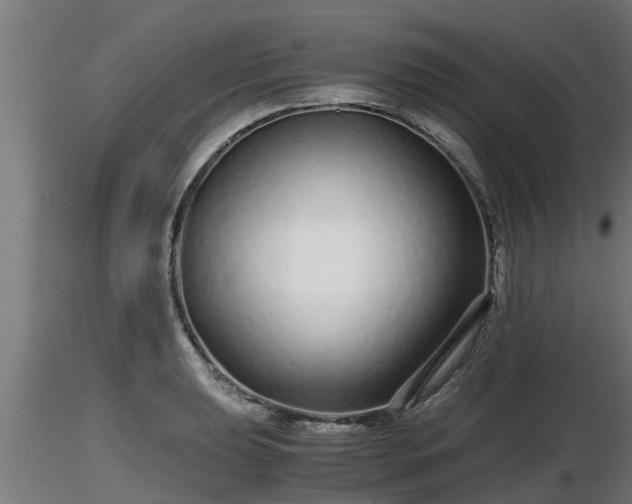 X0000116761039200912241138
