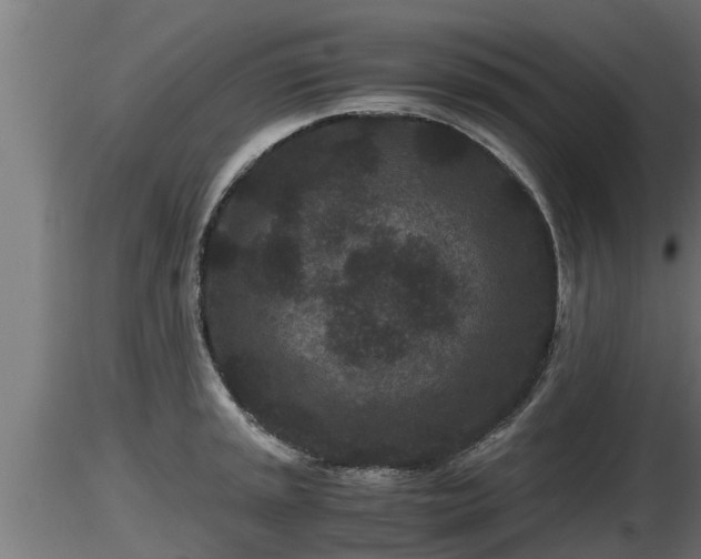 X0000116761045200912241138