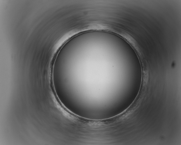 X0000116761046200912241138