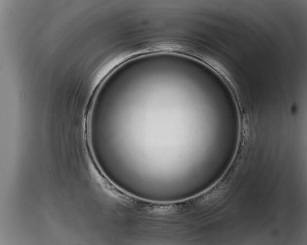 X0000116761047200912241138