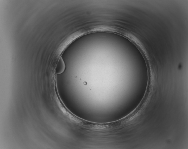 X0000116761049200912241138