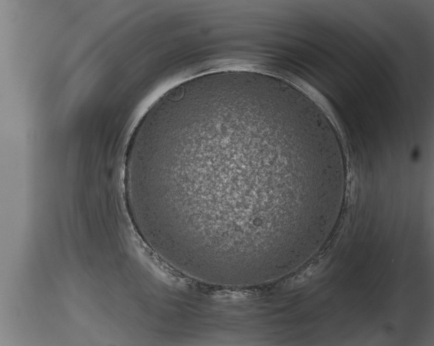 X0000116761051200912241138