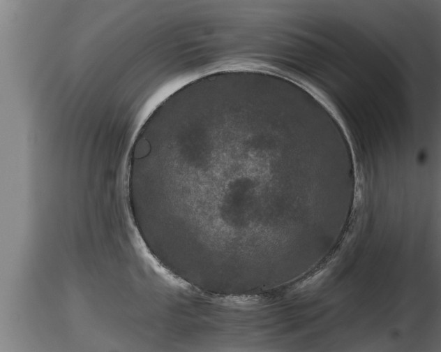 X0000116761053200912241138