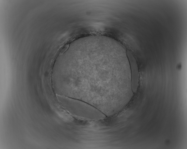 X0000116761057200912241138
