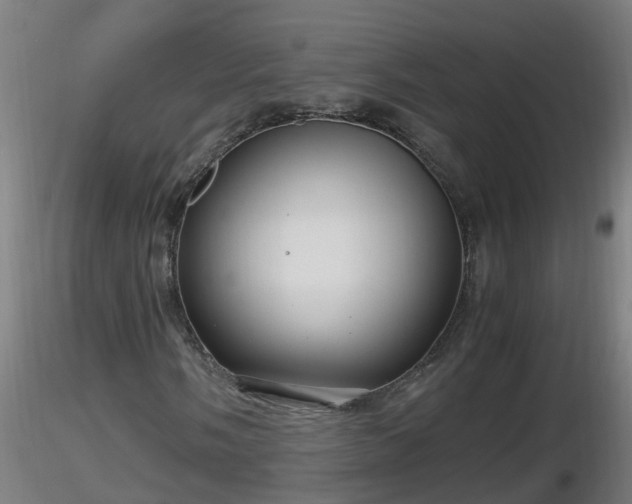 X0000116761058200912241138