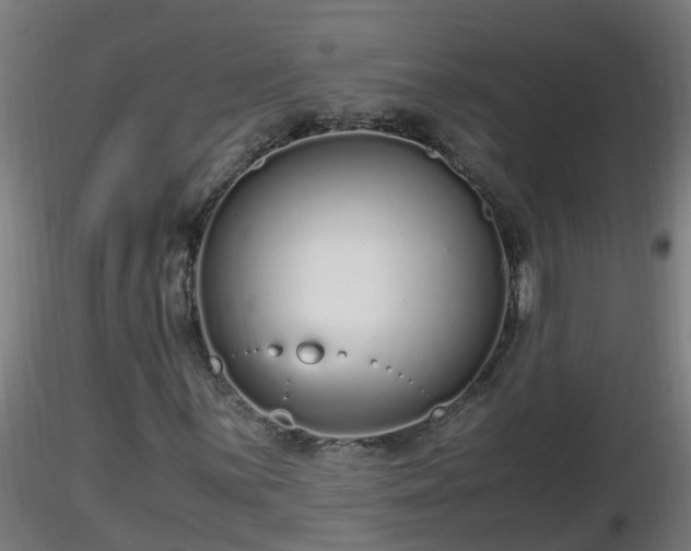X0000116761059200912241138