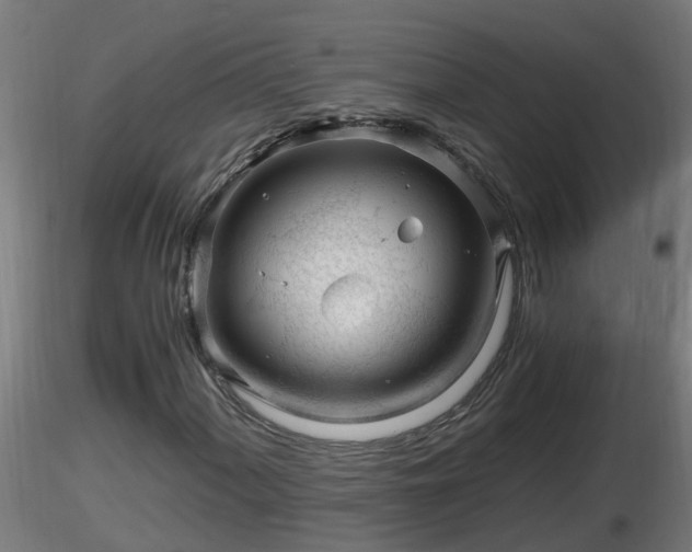 X0000116761060200912241138