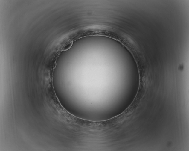 X0000116761062200912241138
