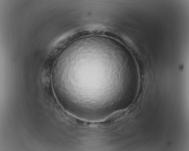 X0000116761063200912241138