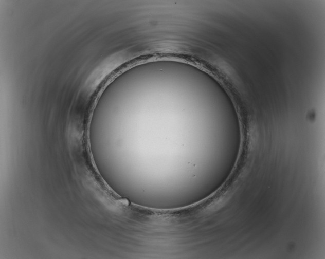 X0000116761065200912241138