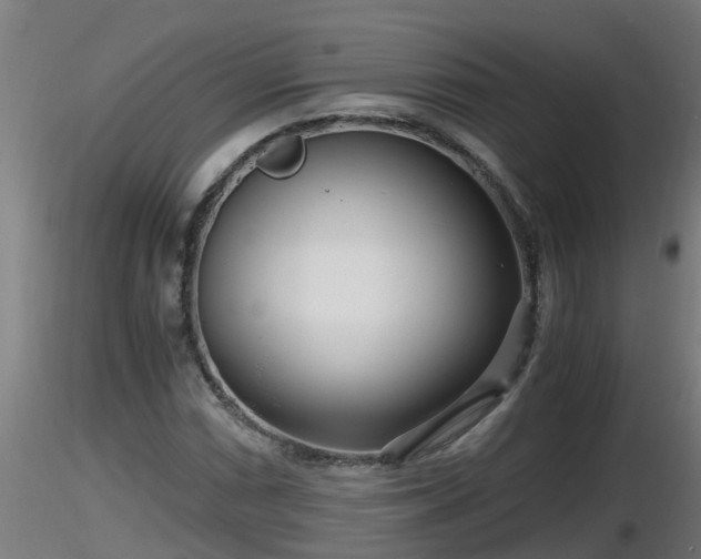 X0000116761066200912241138