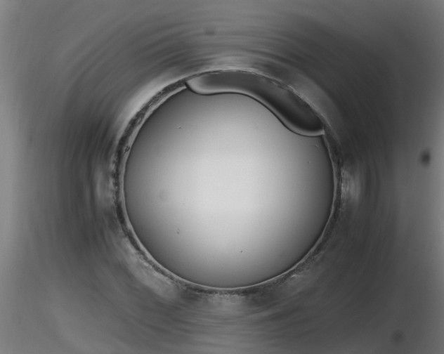 X0000116761068200912241138