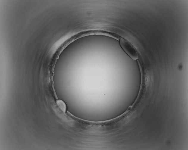 X0000116761069200912241138