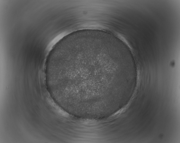 X0000116761071200912241137