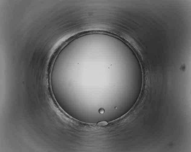 X0000116761072200912241137