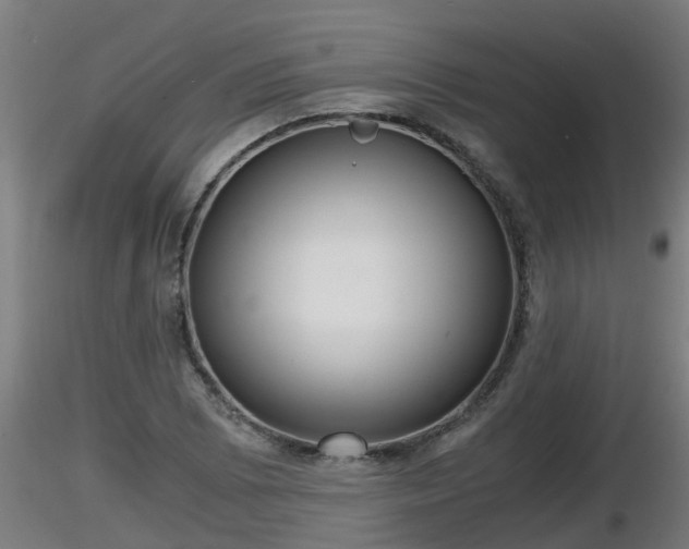 X0000116761073200912241137