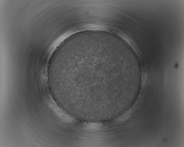 X0000116761074200912241137