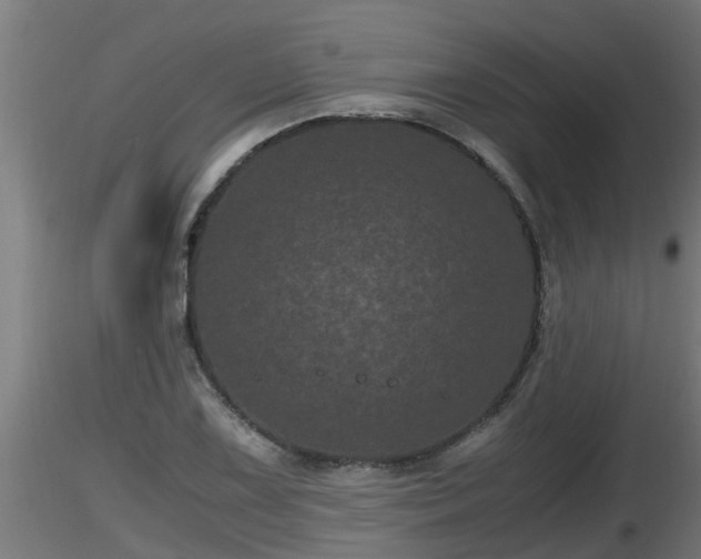 X0000116761075200912241137