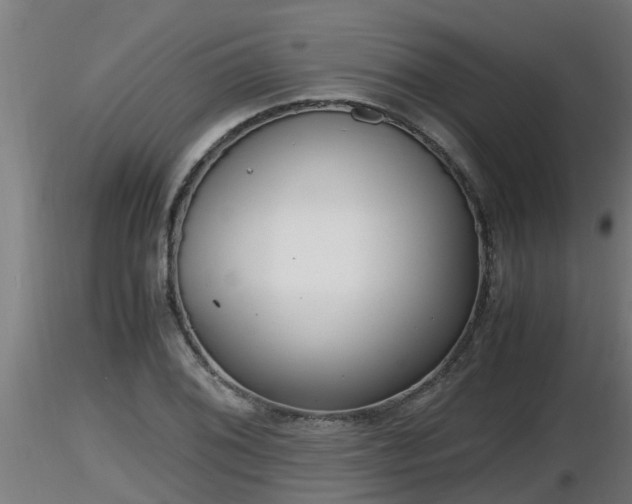 X0000116761076200912241137