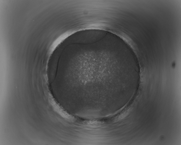 X0000116761077200912241137