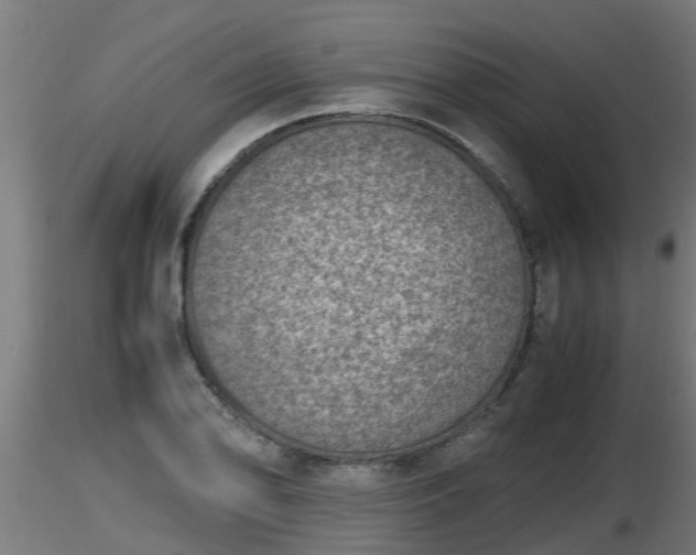 X0000116761078200912241137