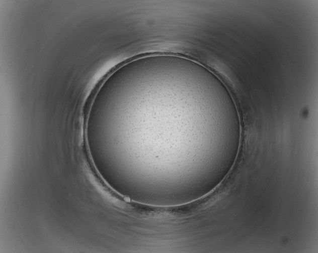 X0000116761079200912241137