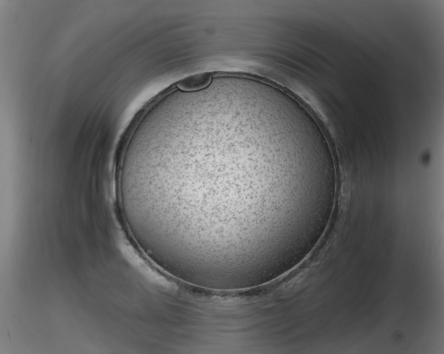 X0000116761080200912241137
