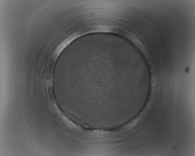 X0000116761081200912241137