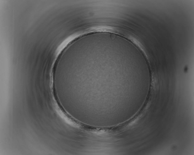 X0000116761082200912241137