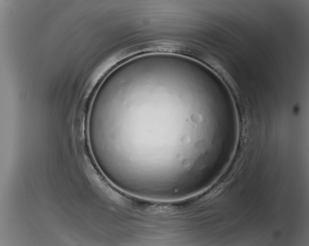 X0000116761083200912241137