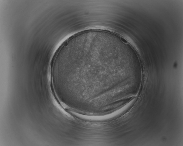 X0000116761084200912241137