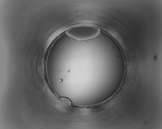 X0000116761085200912241137