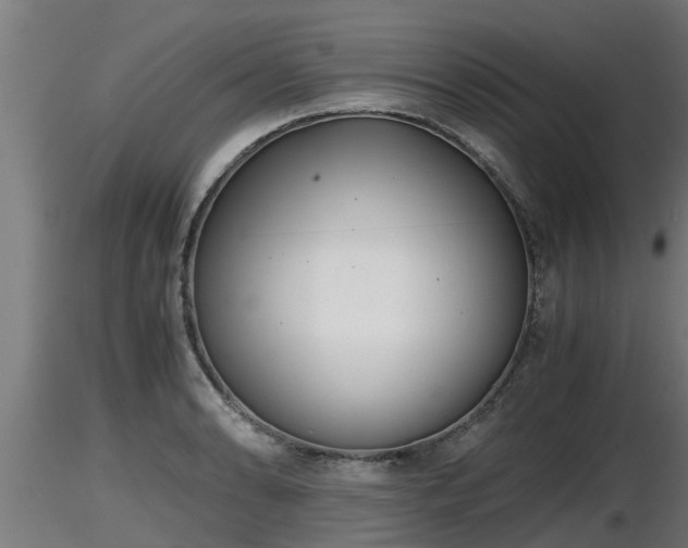 X0000116761086200912241137