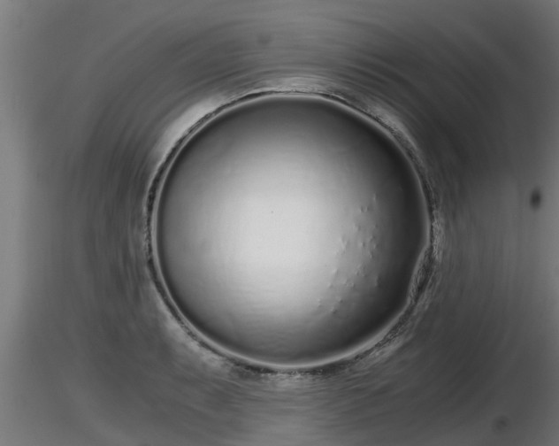X0000116761087200912241137