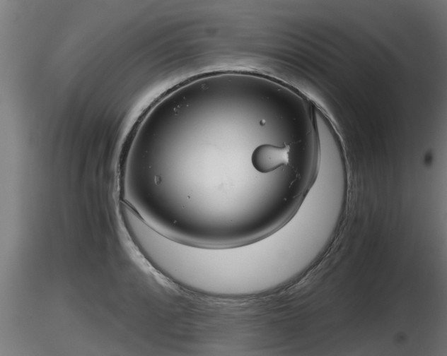 X0000116761088200912241137